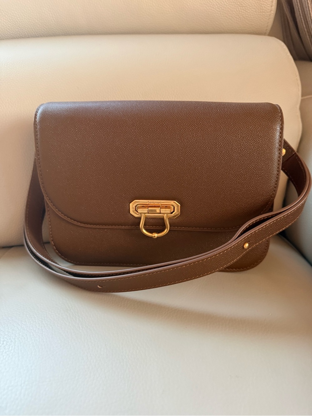 Songmont Brown Leather Crossbody with Gold-Tone Clasp